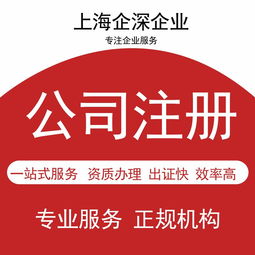 青浦代理记账 青浦区网上办理税务申报 青浦公司找财务